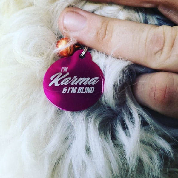 Custom Etched Double-sided Pet Tags