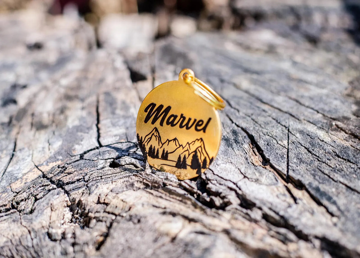 Custom Etched Stainless Steel Pet ID Tags