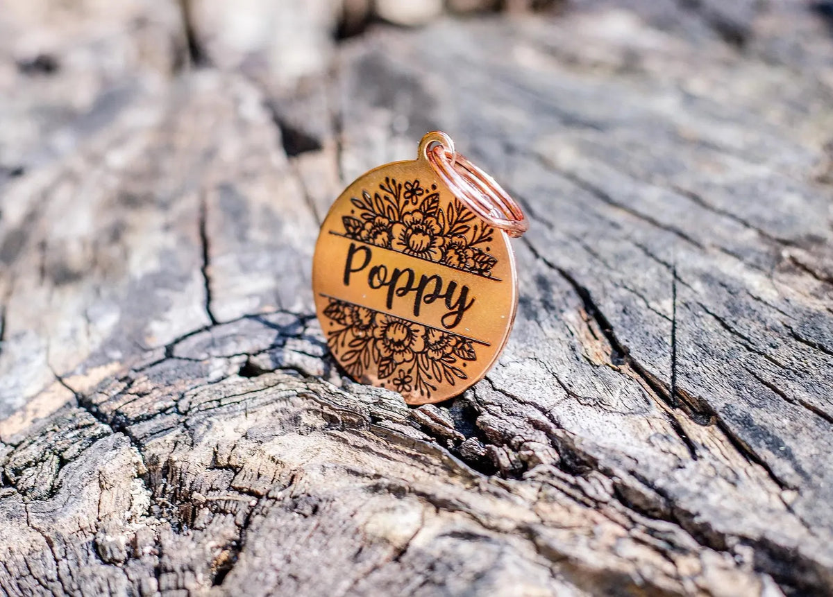 Custom Etched Stainless Steel Pet ID Tags