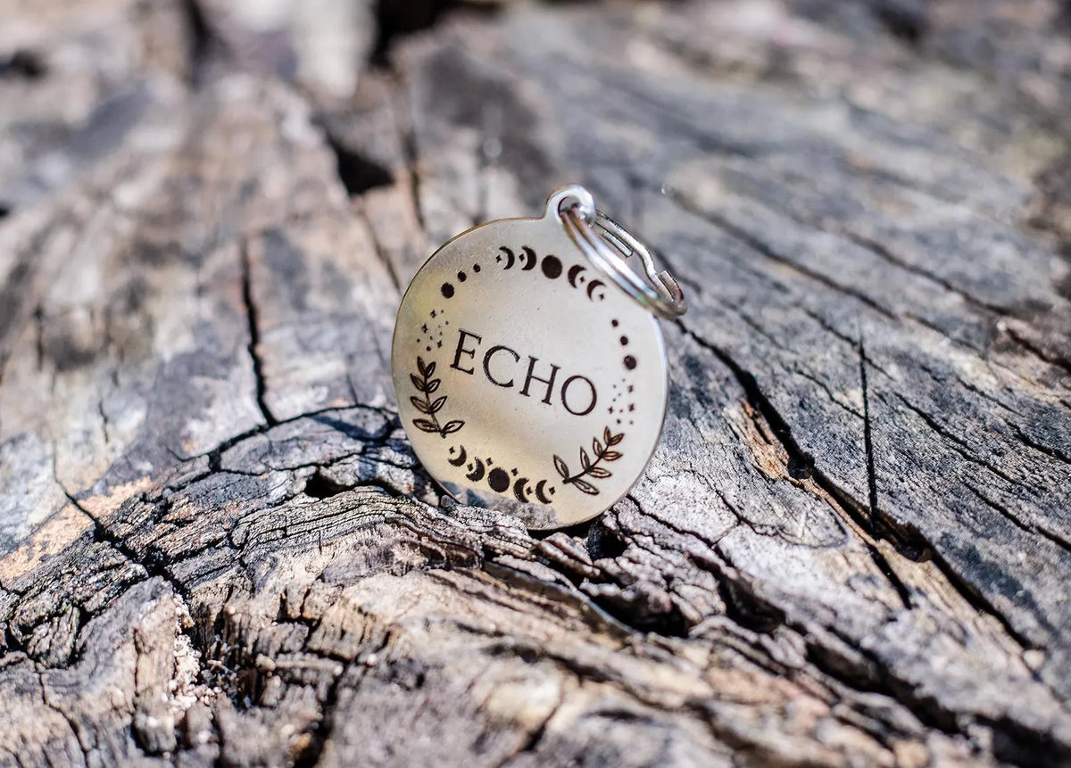 Custom Etched Stainless Steel Pet ID Tags