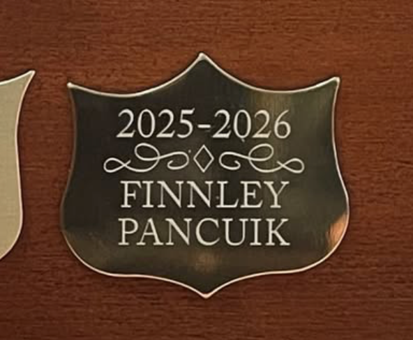 Custom Engraved Trophy Shield - 1.5" x 1.25"